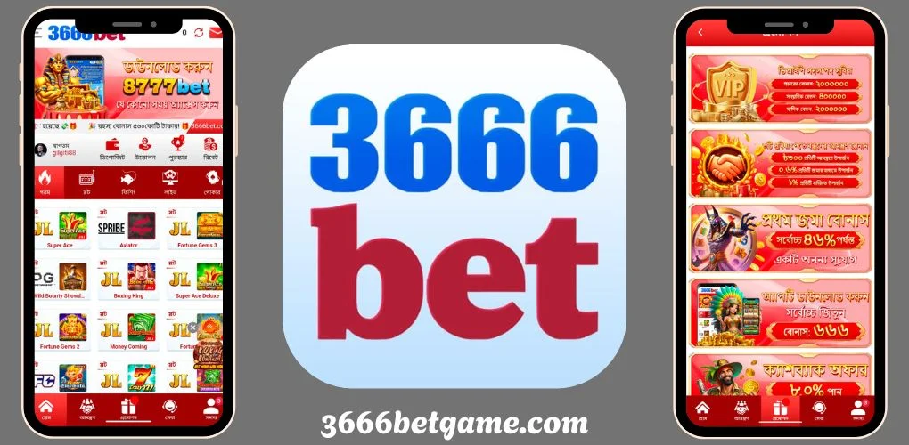 3666bet